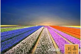 微信公众号简易使用指南图片