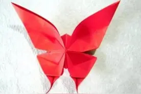 彩蝶翩翩飞，唯美彩蝶动手制作so easy图片