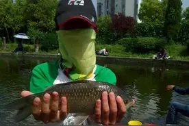 学校运动会，带女票玩欢乐塘，学的有模有样图片