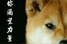 刀尖上的华丽舞者 炉石传说奇迹贼终于回归王者时代图片