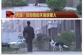 他在外面救了一只狗狗，想不到狗狗后来竟这样报答他图片