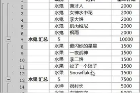 EXCEL中的折叠表格让数据一目了然，不会你就out啦！图片