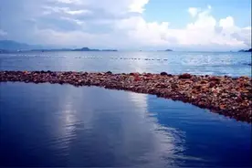 深圳不为人知的十大拍照好去处图片