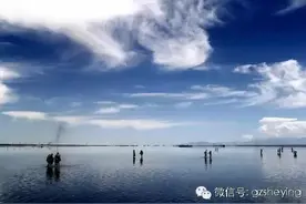 摄影作品 点评篇 教你学会如何看照片 人文摄影师点评精选图片