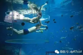 终极海洋奇遇，漫步海底世界——新加坡图片