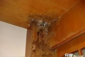 房间门套下口发黑、发霉怎么办？教你不用拆门的好方法来了图片