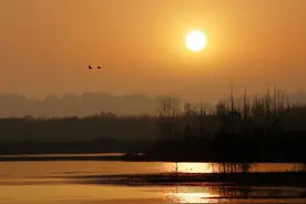 生态青龙湖，这里有比大熊猫还珍贵的青头潜鸭，全球仅500只！图片