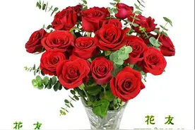 瓶插鲜花及不同花材的保鲜方法图片