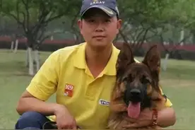 原创 德牧名犬：青年公冠军 恩寇Enko，两只精品小母图片