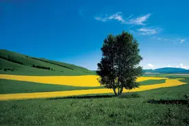 你和孩子说“小男子汉要保护妈妈”吗？儿子和妈，谁保护谁？图片