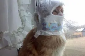 一个由躲猫猫引发的城堡谜案图片