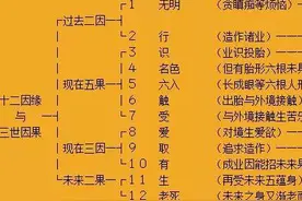 佛教十二因缘简介图片