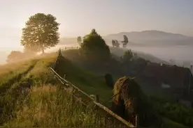 为什么感觉土地确权后，家里的地会变少？图片