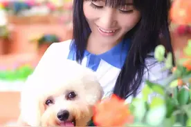 单身狗的故事 献给520单身的朋友图片