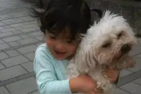 还记得夏天家的狗狗吗？每个擦肩而过的生命，都有可能是你的天使图片