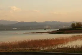 靠山黄（靠调）已故老艺人和存世名家图片