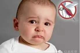 夏天这样做，对付可恶的蚊子！图片