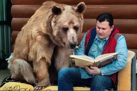 养一只棕熊当宠物，是怎样一种体验？图片