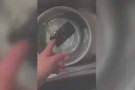 手机掉水里怎么办？最快速最有效的处理方法，看到最后一步懵了