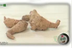 三七头数是什么意思？哪种头数的三七效果最好？视频封面