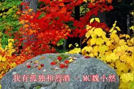 一首MC魏小然-我有孤独和烈酒唱出多少人心声视频封面