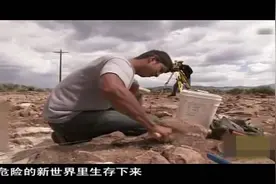 猛犸象，高4.6米，重达9000多公斤！视频封面