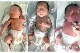 二胎生下三胞胎急哭父母 好心人想领养一个宝宝图片
