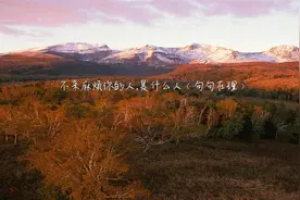 麻烦你的人是什么人视频封面