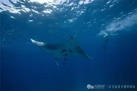 印度尼西亚 – 七天六夜探索之旅图片