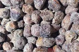 蜜枣的功效与作用 多吃蜜枣能补血养气图片