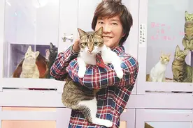 邰正宵窝猫群 DoReMi灵感大发图片