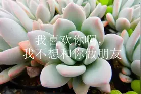 我喜欢你啊，我不想和你做朋友