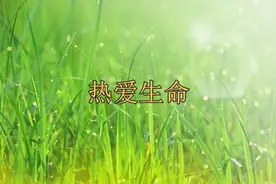 感悟哲理——热爱生命