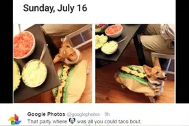 不骗你 Google Photos可用emoji搜图图片