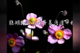 聪明的最高境界是厚道（好文）视频封面