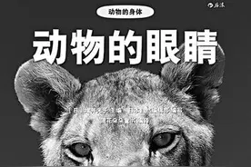 解开关于眼睛的生命之谜图片