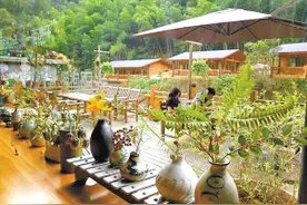 调查：产品结构相对简单 宁波乡村民宿如何"迎风高飞"？图片