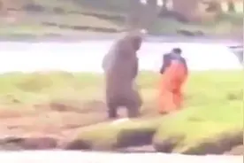 战斗民族和熊拳击，这熊拳击技术真好啊 之后有亮点哦视频封面