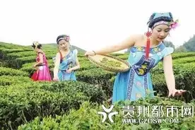 新闻边卡吊太美了！贵州境内竟然还有一个未开发的秘境图片