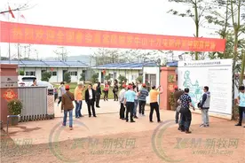 海南十万头猪场是建成了公寓？图片