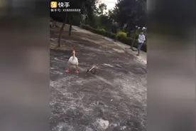 小时候有被鹅追着跑的进来看看视频封面