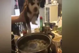 主人放了个屁，小狗狗闻到之后，对主人的屁股这样做