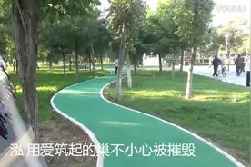 一首《其实我的心没走》天天听一次视频封面