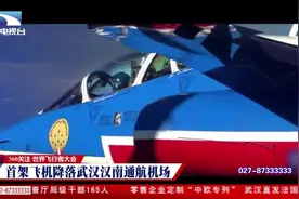世界飞行者大会首架飞机降落武汉汉南通航机场视频封面