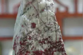 秦岭印象 安康的梅花鸡血石 安康人知道吗视频封面