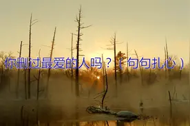 你删过最爱的人吗？（句句扎心）