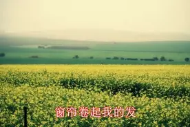 卓亚君最好听的一首歌曲《洛丽塔》