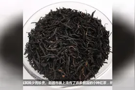 正山小种属于什么茶 为什么叫做正山小种？视频封面