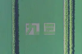 航拍东北黑土地非转基因大豆夏耘景象视频封面