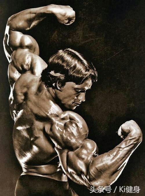 让我们红尘做伴，一起了解一下蛋白质